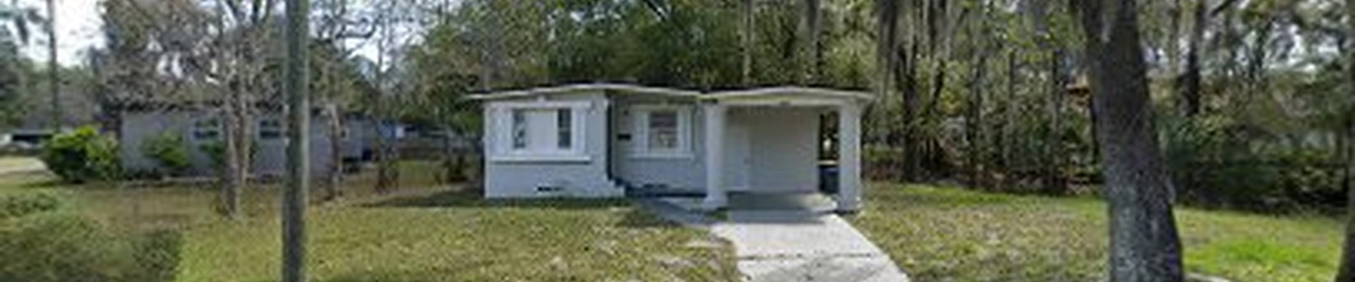 Jacksonville Tree Service