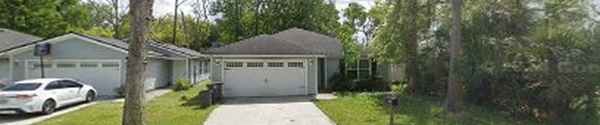 EliteCanopy Tree Solutions