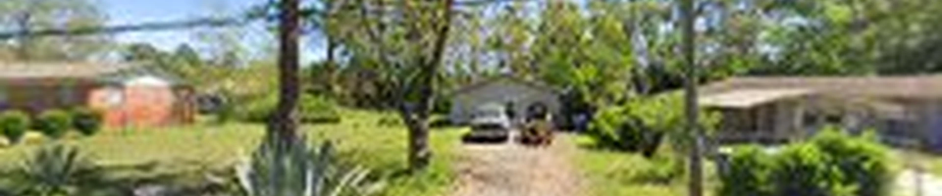 Thomas Family Tree Service