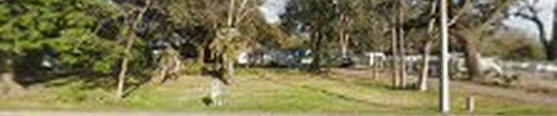 Knox Pest Control - Jacksonville