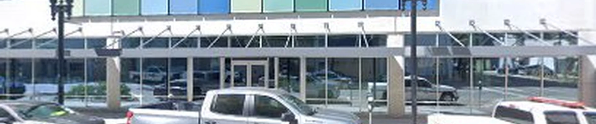 TreeVista Arbor Care