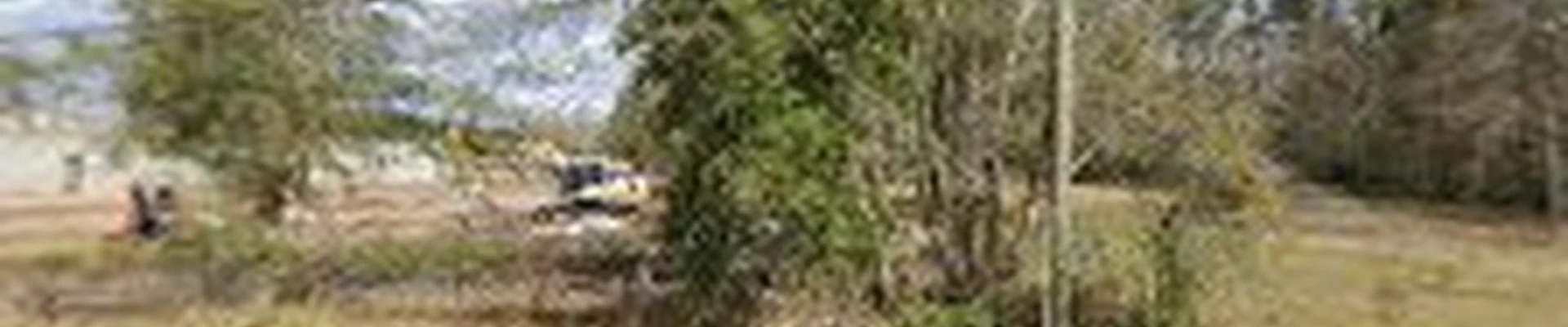 Arbor Plex Tree Service