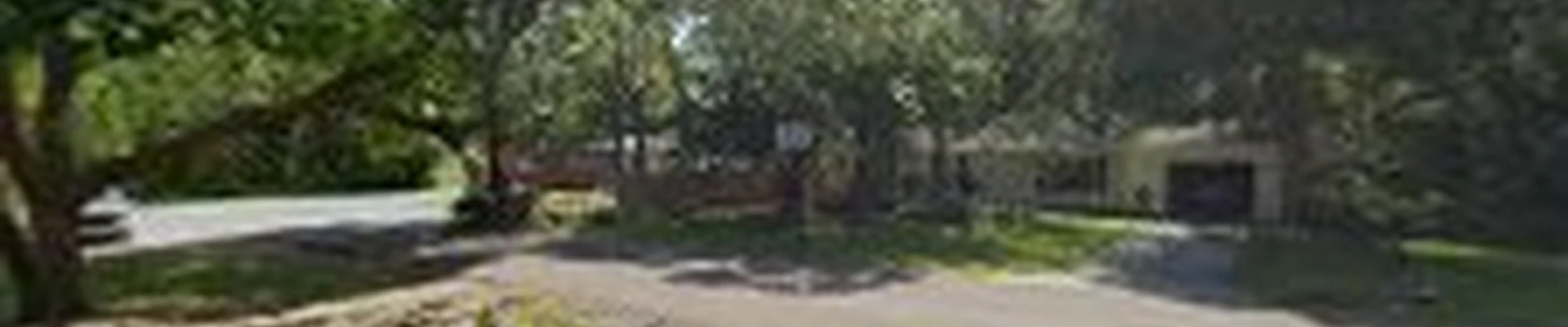 The Tree Surgeons - Tree Services