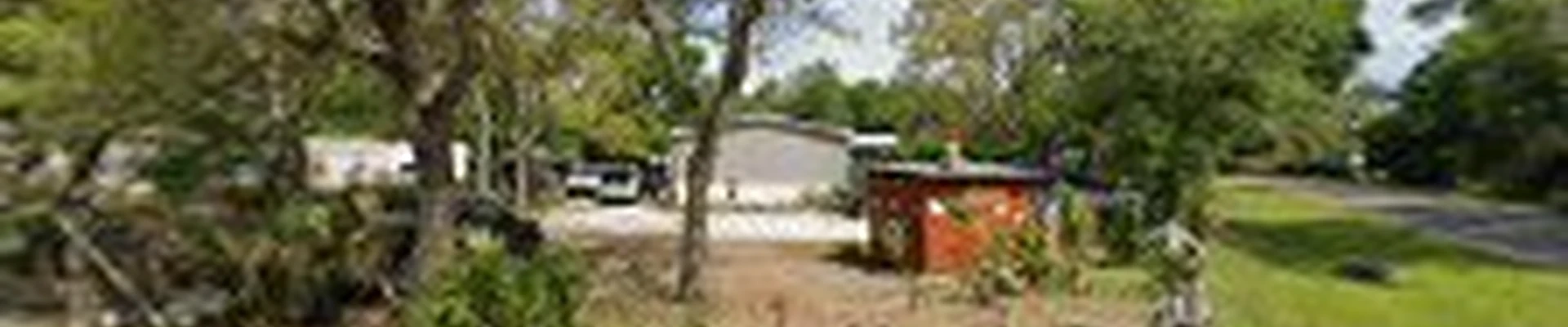 Young's Tree Service & Stump Removal, LLC w/Dr. Ugly ISA Certified Arborist