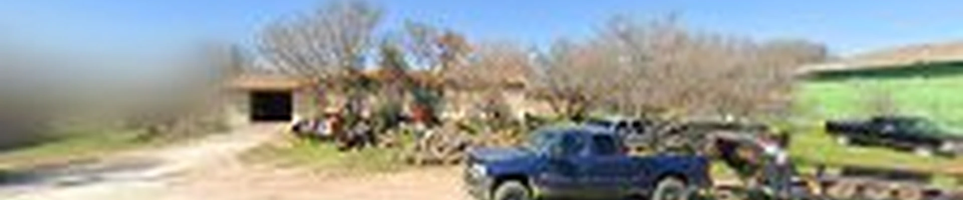 High Reach Tree Service