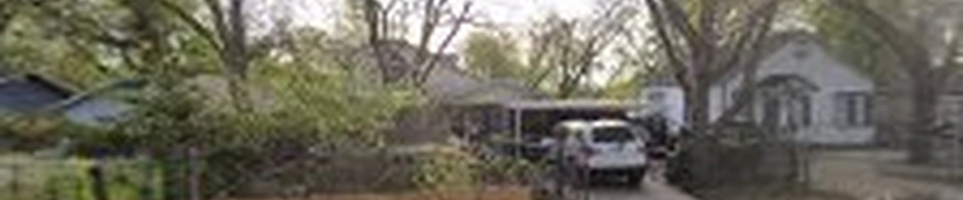 David’s Tree Service