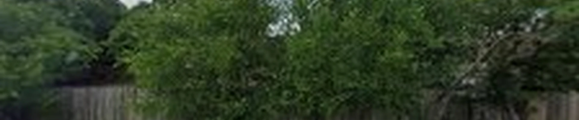 H&S Lawn and Tree Care