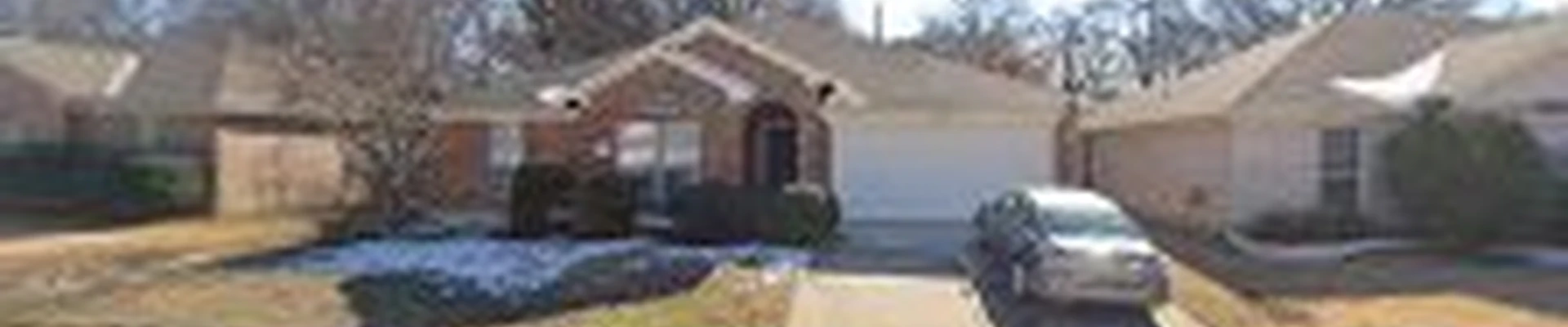 CT Tree Services LLC
