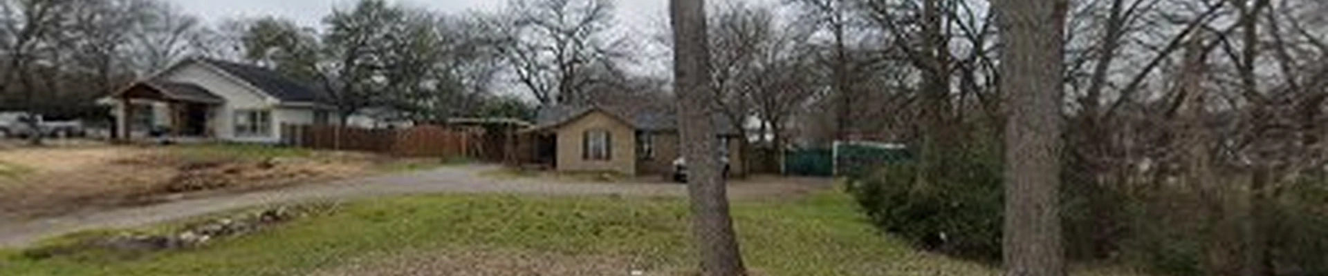 Fort Worth Arborist
