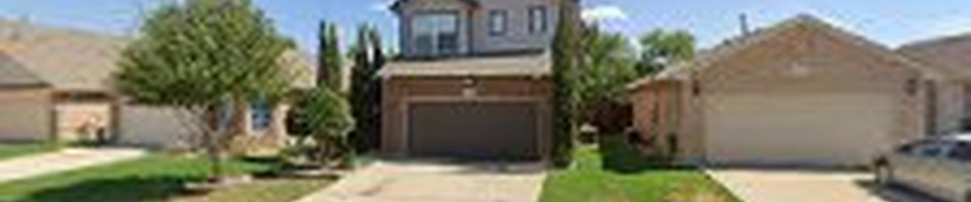 DFW Flores Tree Service llc