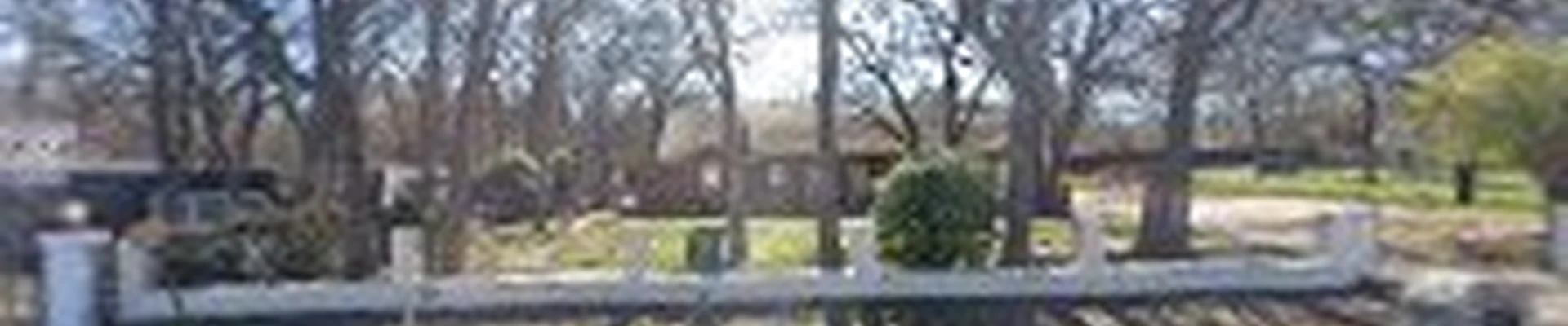 Classic Cuts Tree Trimming And Removal
