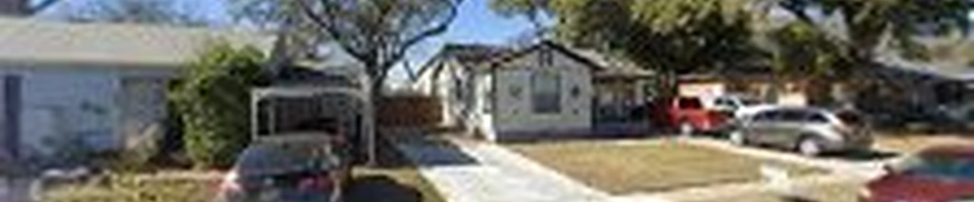 Tree service Juan Ramirez