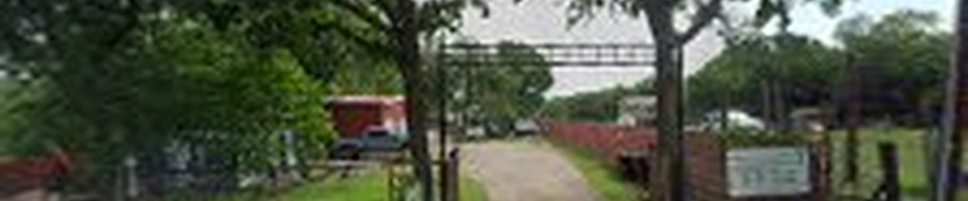 Moreno Plant Farms