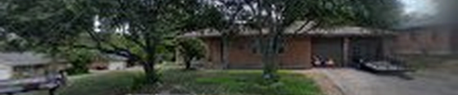 Juan tree services