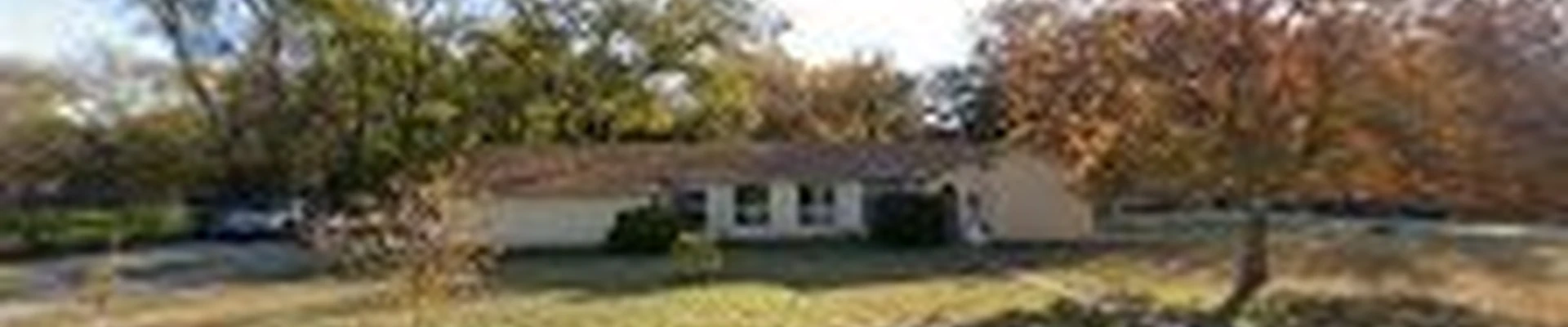 Mr. Turf Tree Services