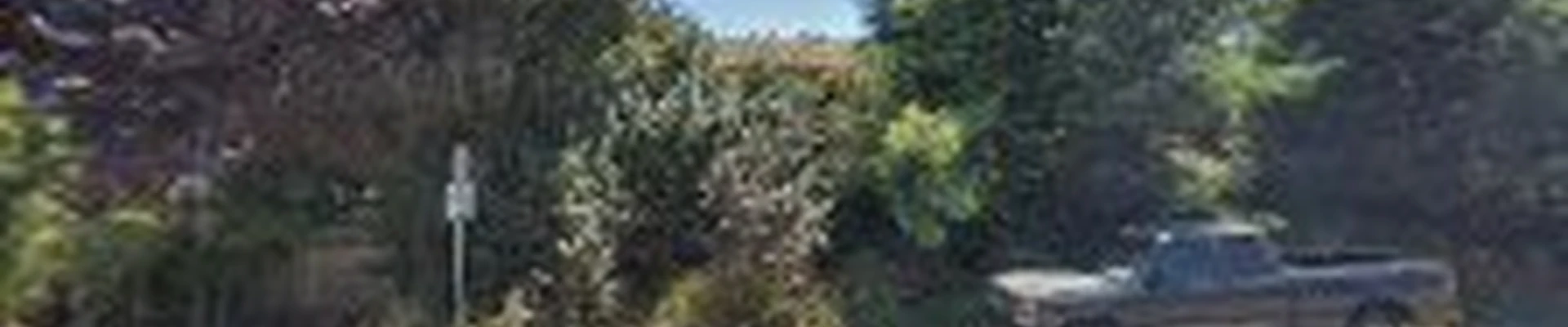 SL Tree Services