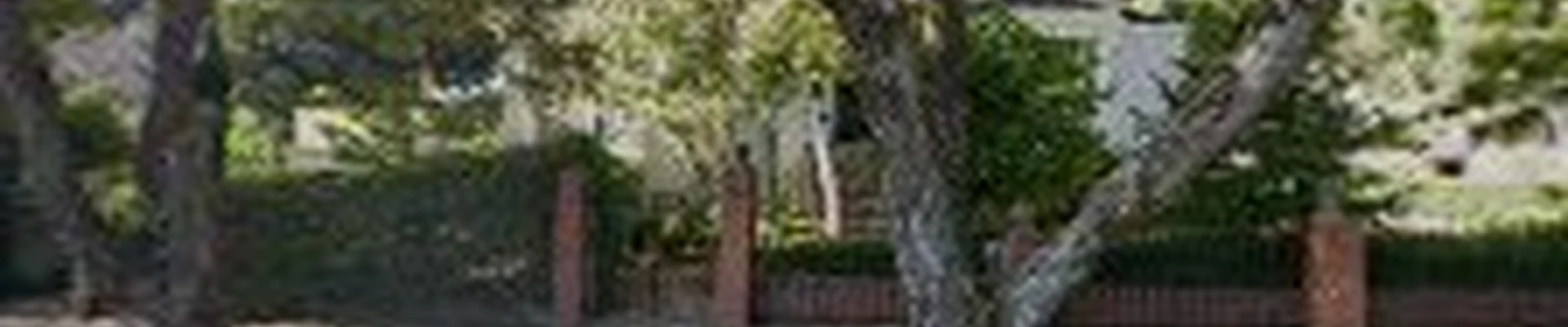 Commercial Arborists LLC