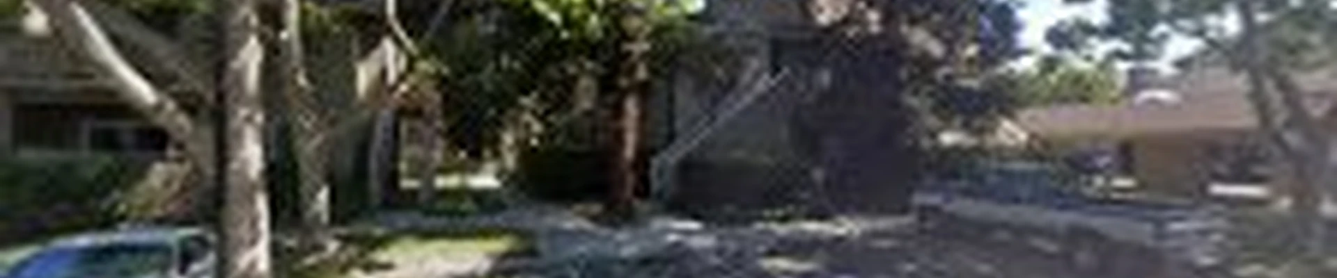 Oasis Tree Service