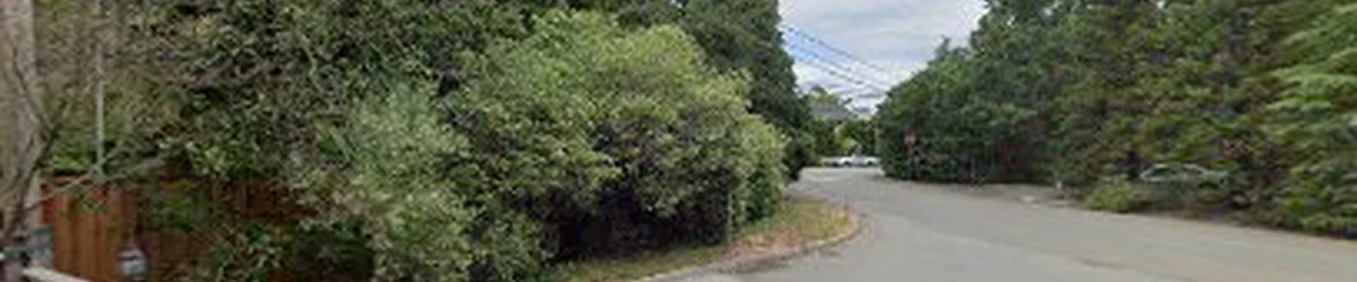 Trees 360 Degrees