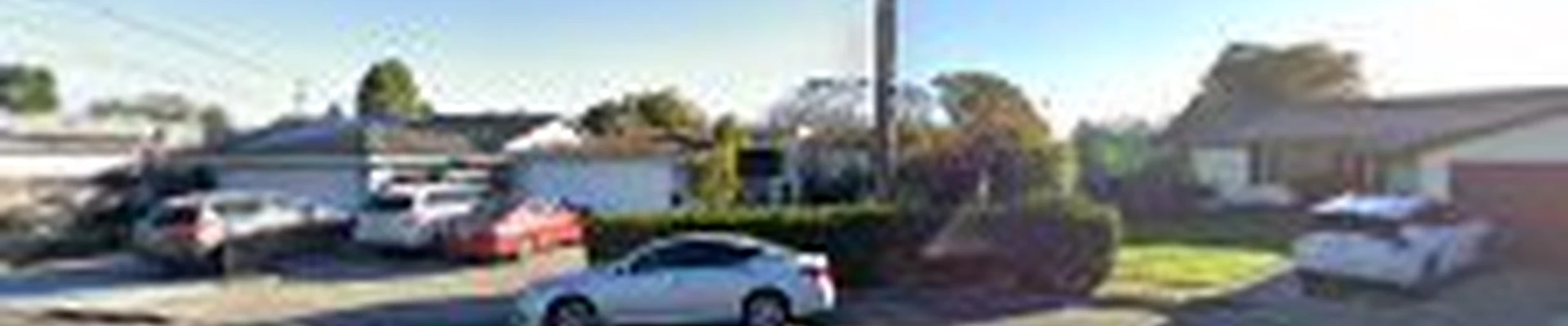 Dsoto Tree Service
