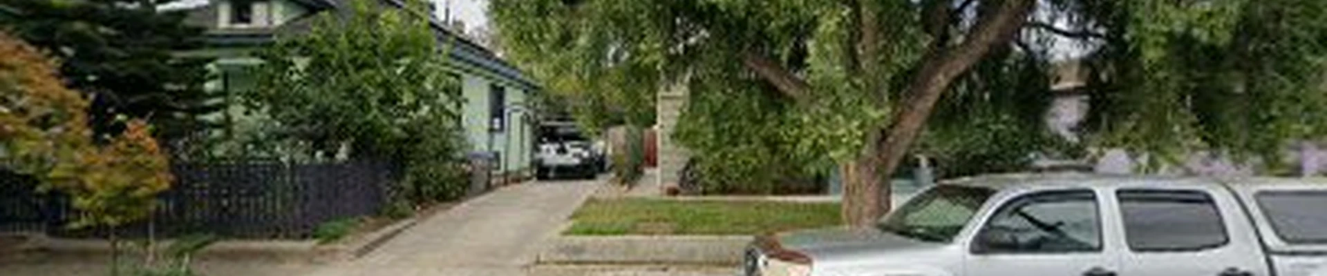 South Bay Trees