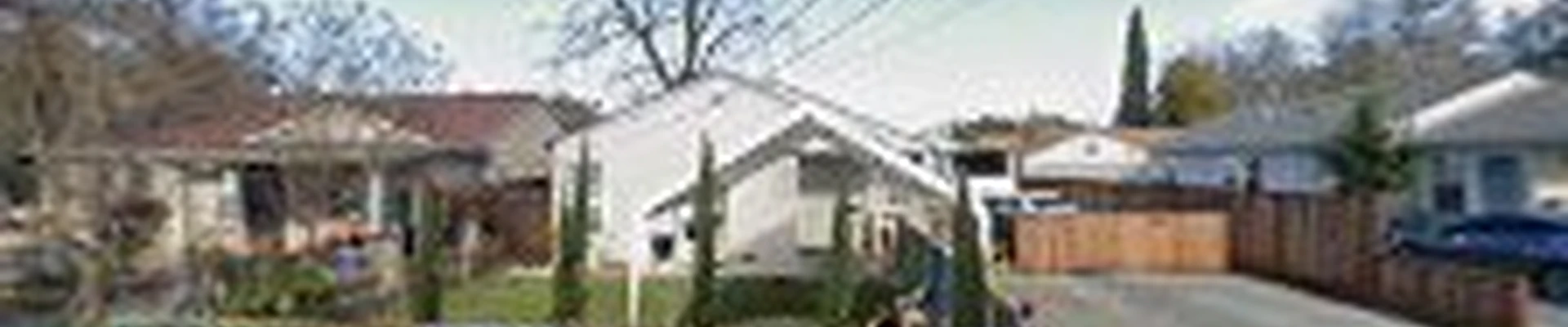 Hector Tree Services