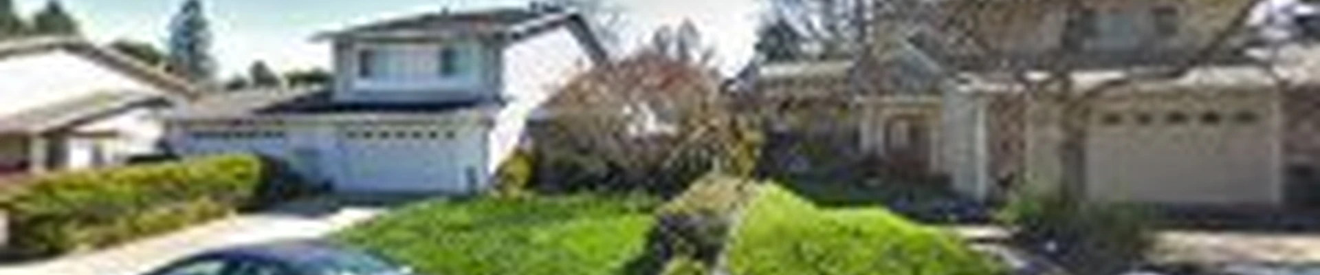 Terry's Tree Service