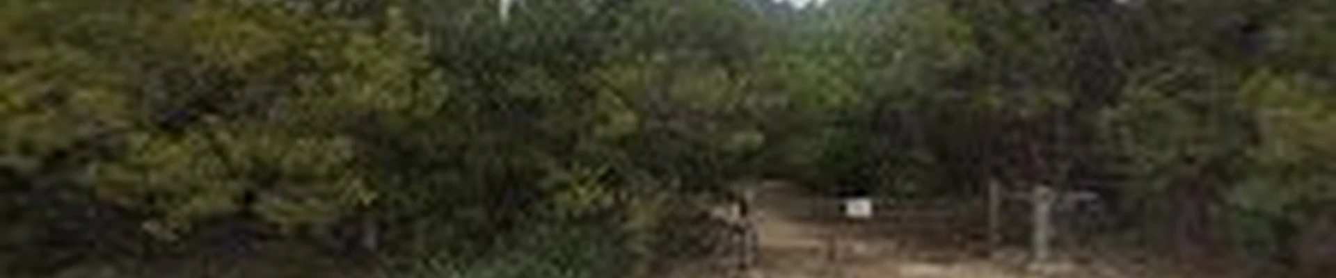 Wimberley Tree Service