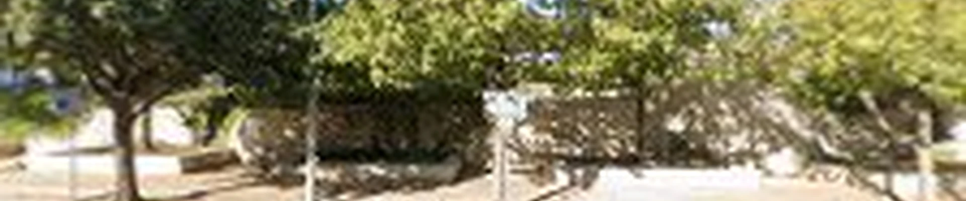 Austin Tree Surgeons - Tree Service