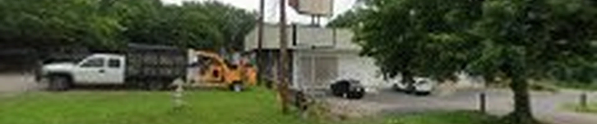 Precision Tree Service