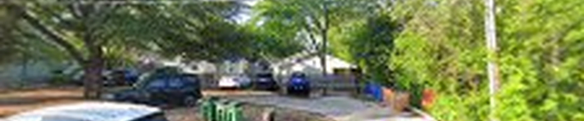 Chico's Tree Love & Care