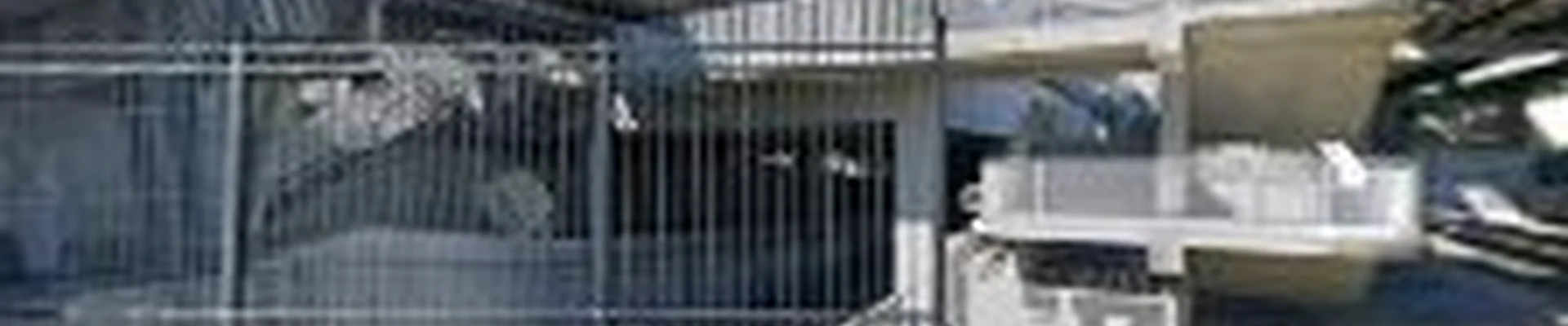 Flagship Facility Services