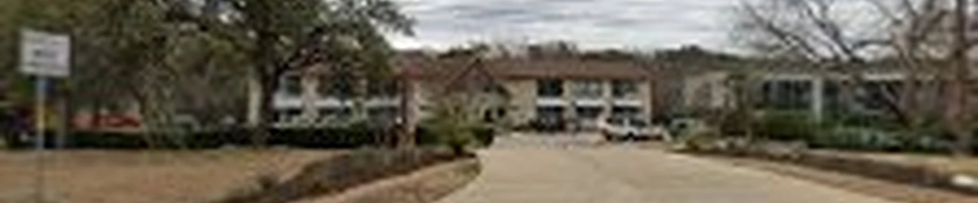 Agave Tree Services