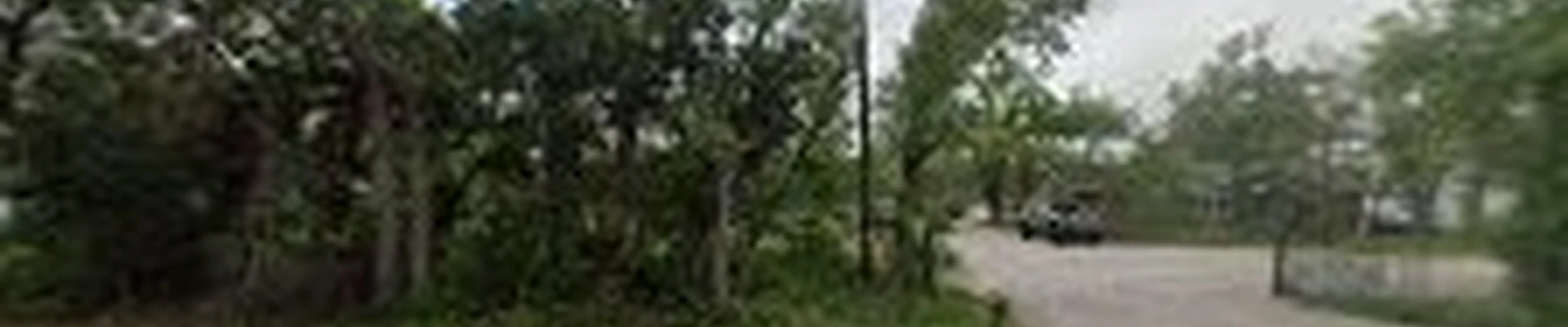 Lone Star Land Clearing