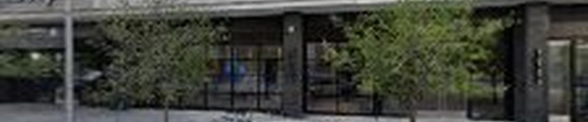 Canopy & Root Tree Company