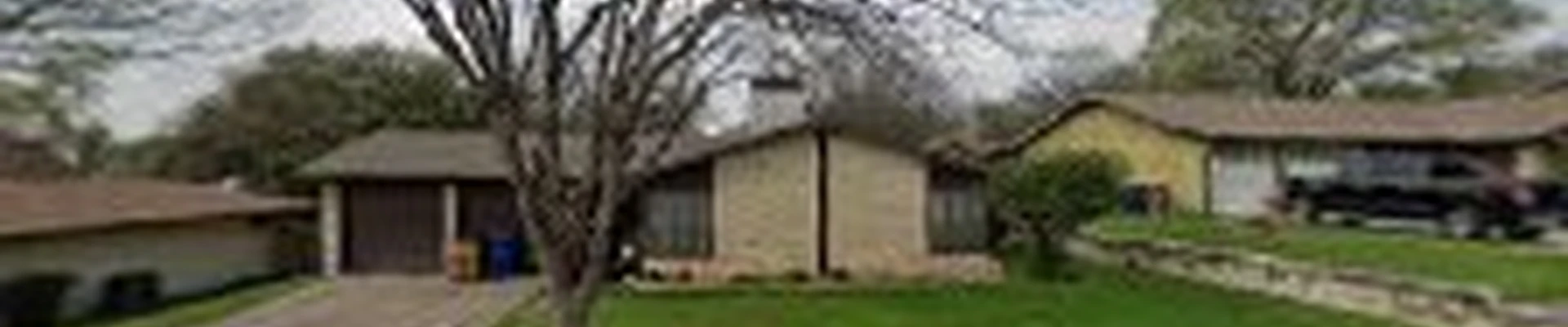 Araujo tree & lawn service
