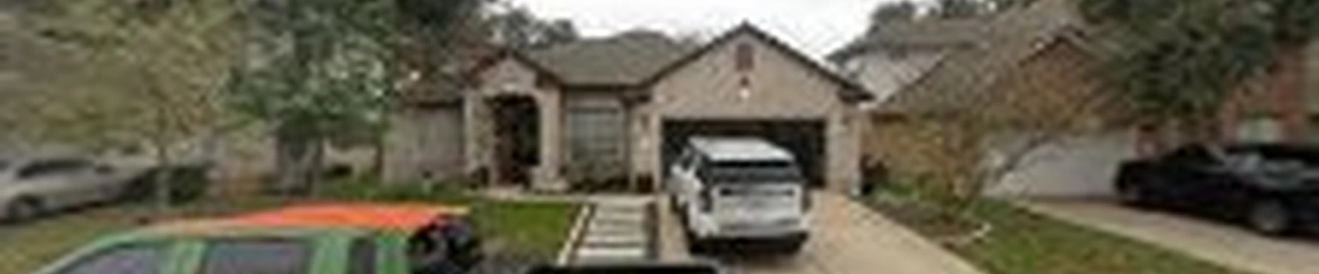 Viridian tree care