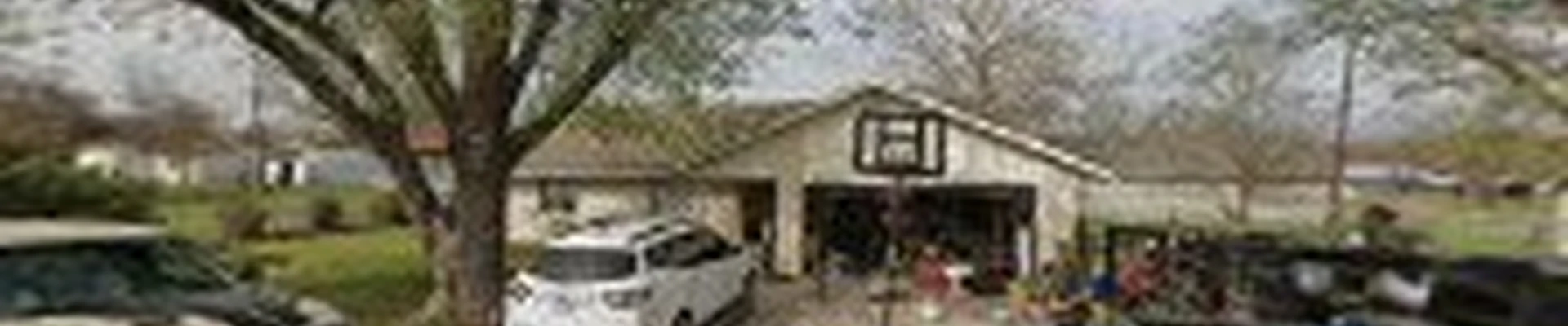 Texas Tree Services
