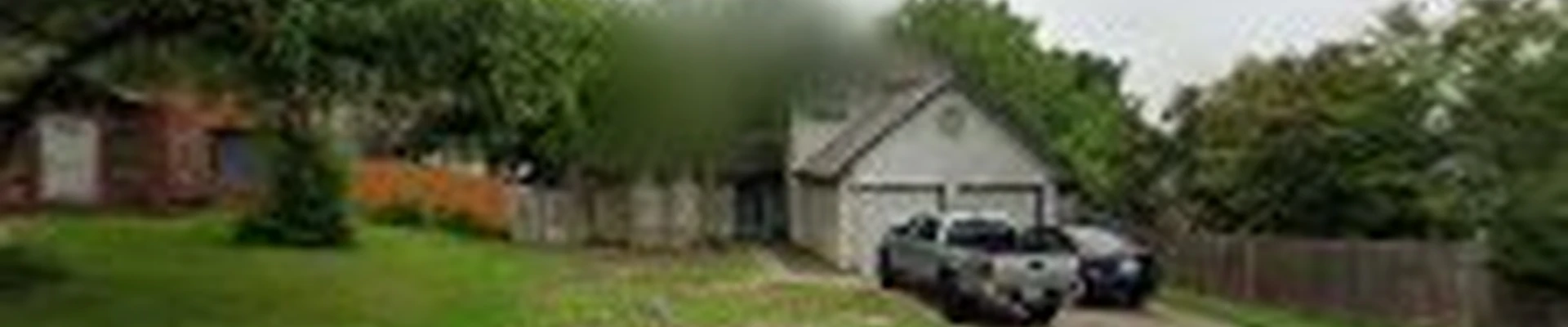 The Texas Tree Doctors
