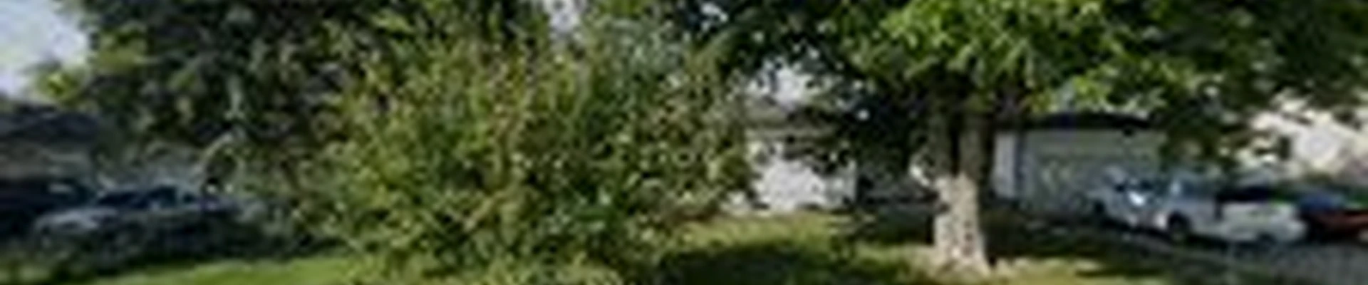 Peterman Brothers Tree Service LLC