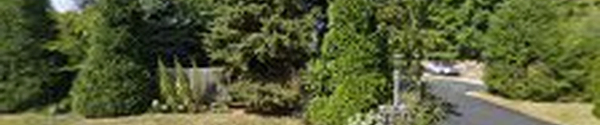 Ascher Tree Services LLC
