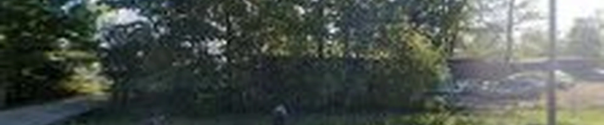 Wright Way Tree Care