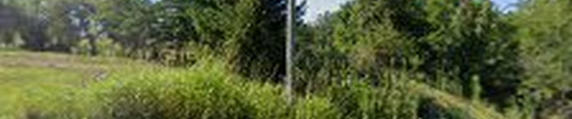 Sasquatch Tree Service, LLC