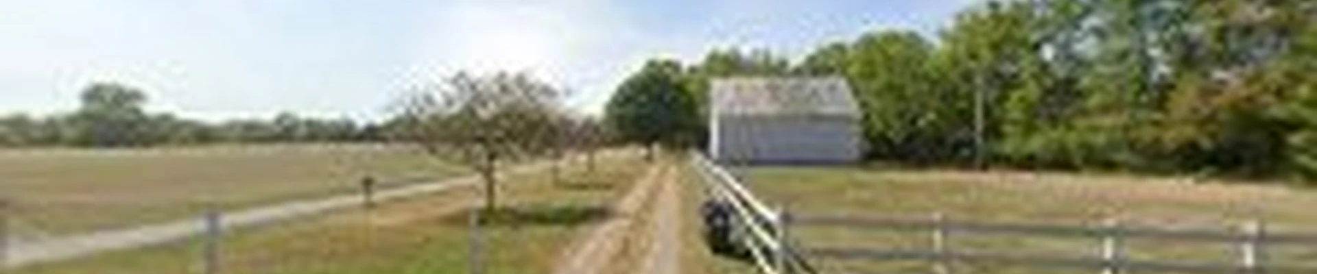 Arboristsam Tree Care