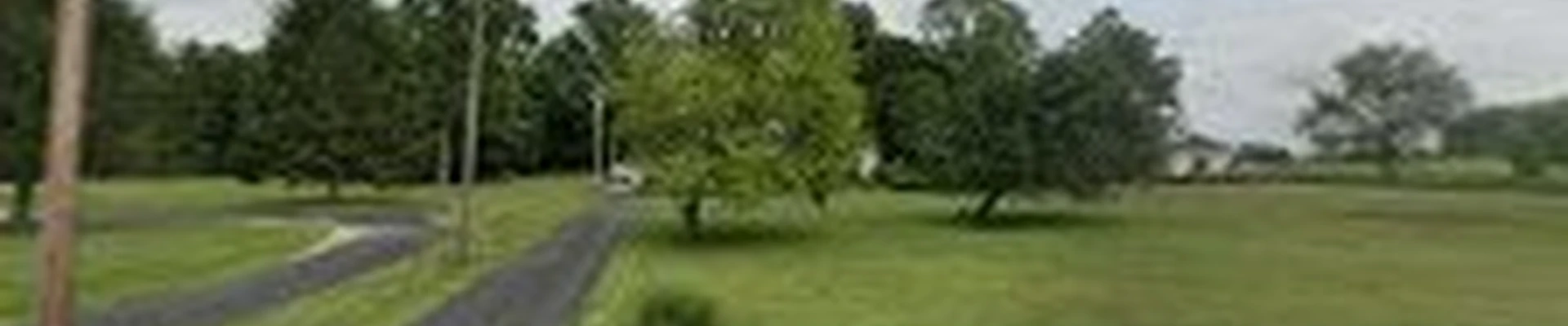 West Tree Service Inc.