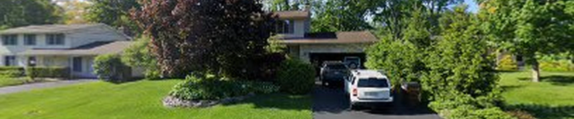 Arborist Care Tree Service