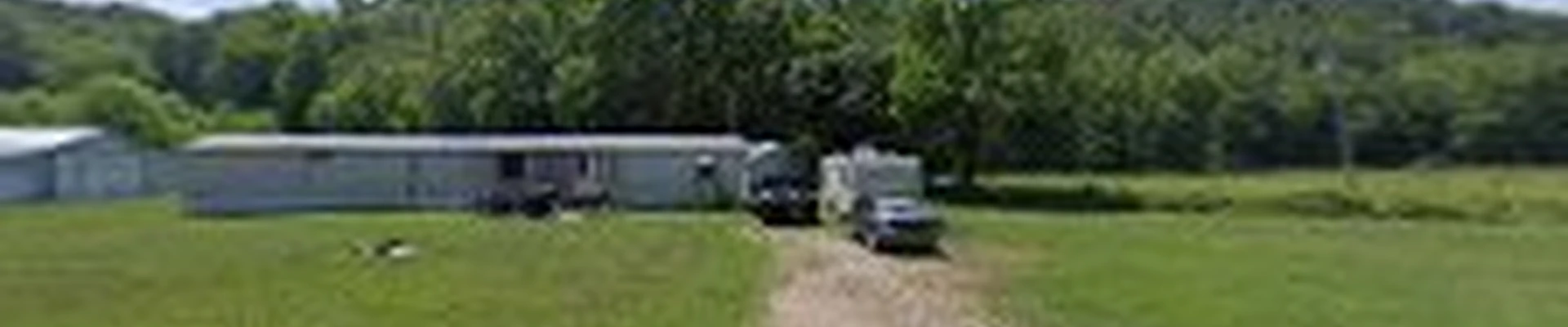 Ohio tree services
