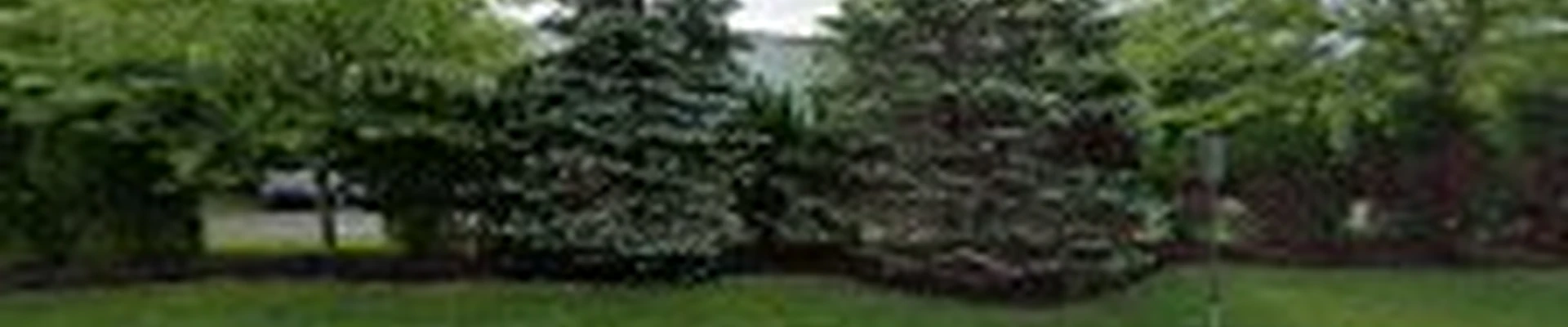 NexGreen Lawn Tree and Exterior Pest Control