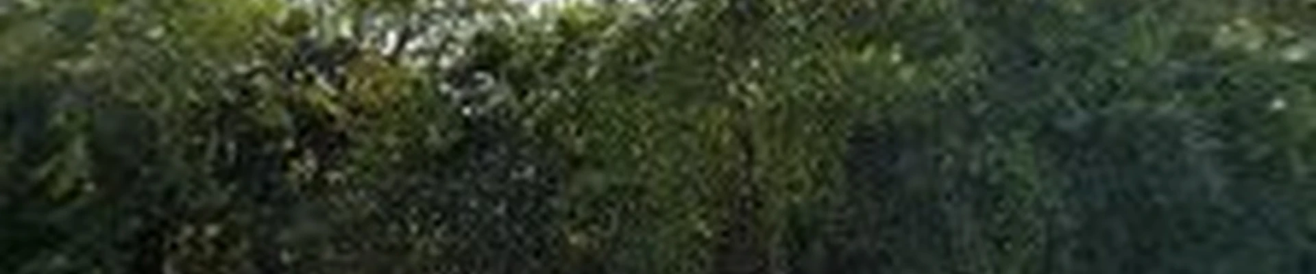 S&P Stump Grinding LLC