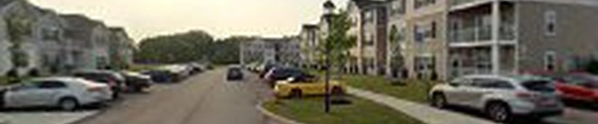 Paragon Lawn Care